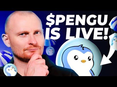 $PENGU Launched! How to Claim & Why I am Holding