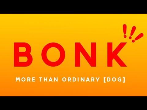 The Rise and Fall of BONK: Solana’s Iconic Meme Coin and Its Impact